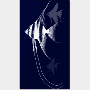 Angelfish Posters and Art